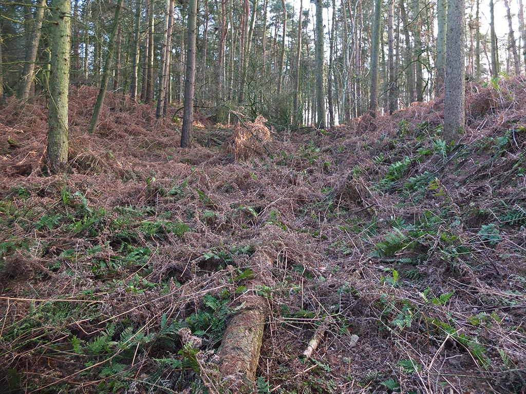 middlewich cutting